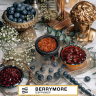 Табак Element Воздух - Berrymore (Земляника и Черника) 25 гр Табак Element Воздух - Berrymore (Земляника и Черника) 25 гр