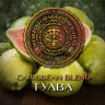 Табак WTO - Caribbean Blend (Гуава) CB27 20 гр