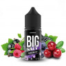 Жидкость ElMerck Big SALT - Wild Berry 30 мл (20 мг)