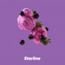 Табак Starline - Смородиновый сорбет 25 гр Табак Starline - Смородиновый сорбет 25 гр
